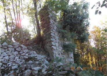 Immagine1