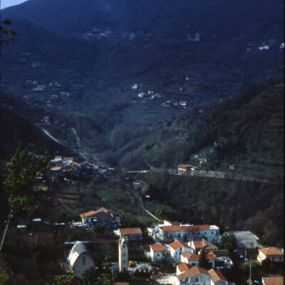 La montagna e il bosco