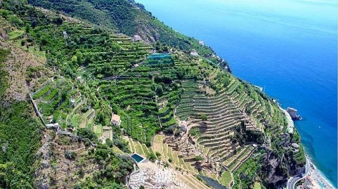 I terrazzamenti della Costa d’Amalfi come paesaggio culturale UNESCO. Intervista a Marina Fumo, direttrice Cittam